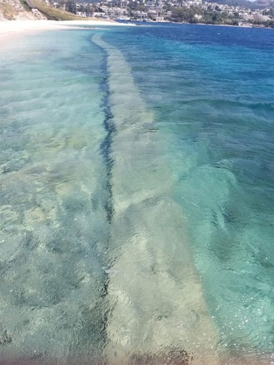 Tüyler ürperten manzara! Belediyeye şikayet yağıyor..